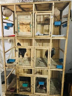 Used  cage for sale