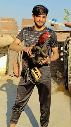 Pakistani