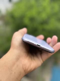 iPhone 11 Pta Approved 03406679049 wh