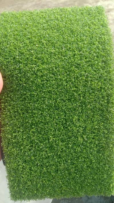 Cricket net/padel court setup/artificial Grass