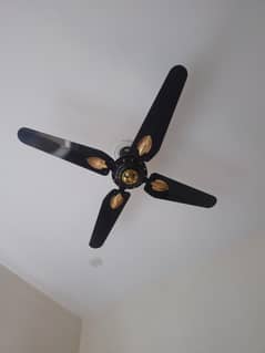 New ceiling fan available for sale| In reasonable price