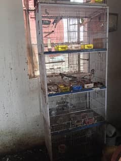 4 portion Cage for lovebirds,pigeons,hens