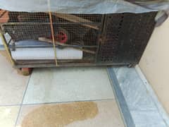 High quality Iron cage for sale