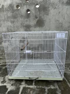 Bird’s