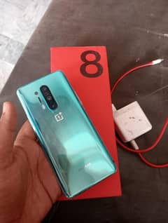 one plus 8 pro 12,256 dual pta aprovd