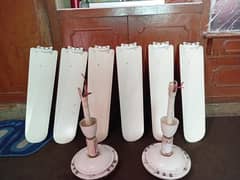two fans climax fan proper coper