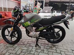 Yamaha Ybr 125G Matt Grey 2024 modified
