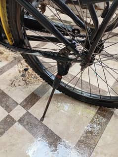 Cycle