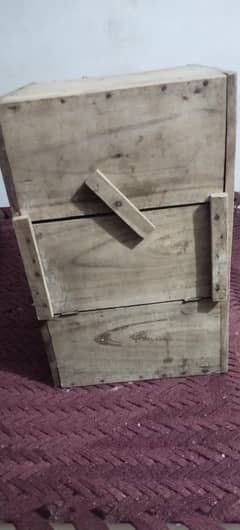 Raw parrot breeding box