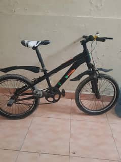 beautyful cycle