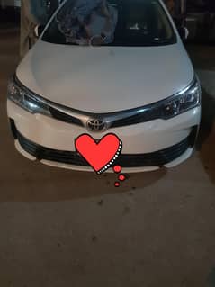 corolla