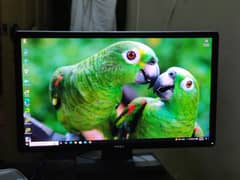 gaming PC i5 4th generation  with 24inch  ips lcd