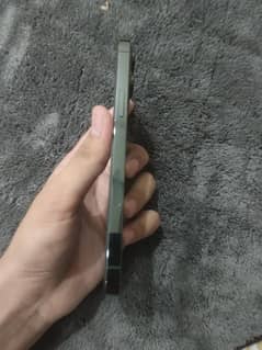 iphone 13 pro max  ( JV )non pta 256Gb panel change