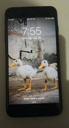 iPhone