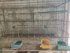 cage sell 3000
