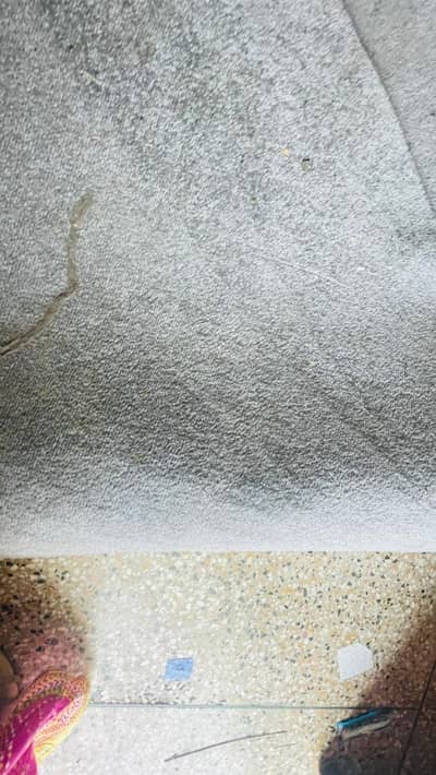 Carpet thick fur highest quality. 23*12 feet