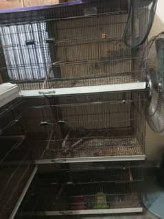 birds cages