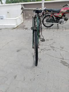 24" sohrab cycle