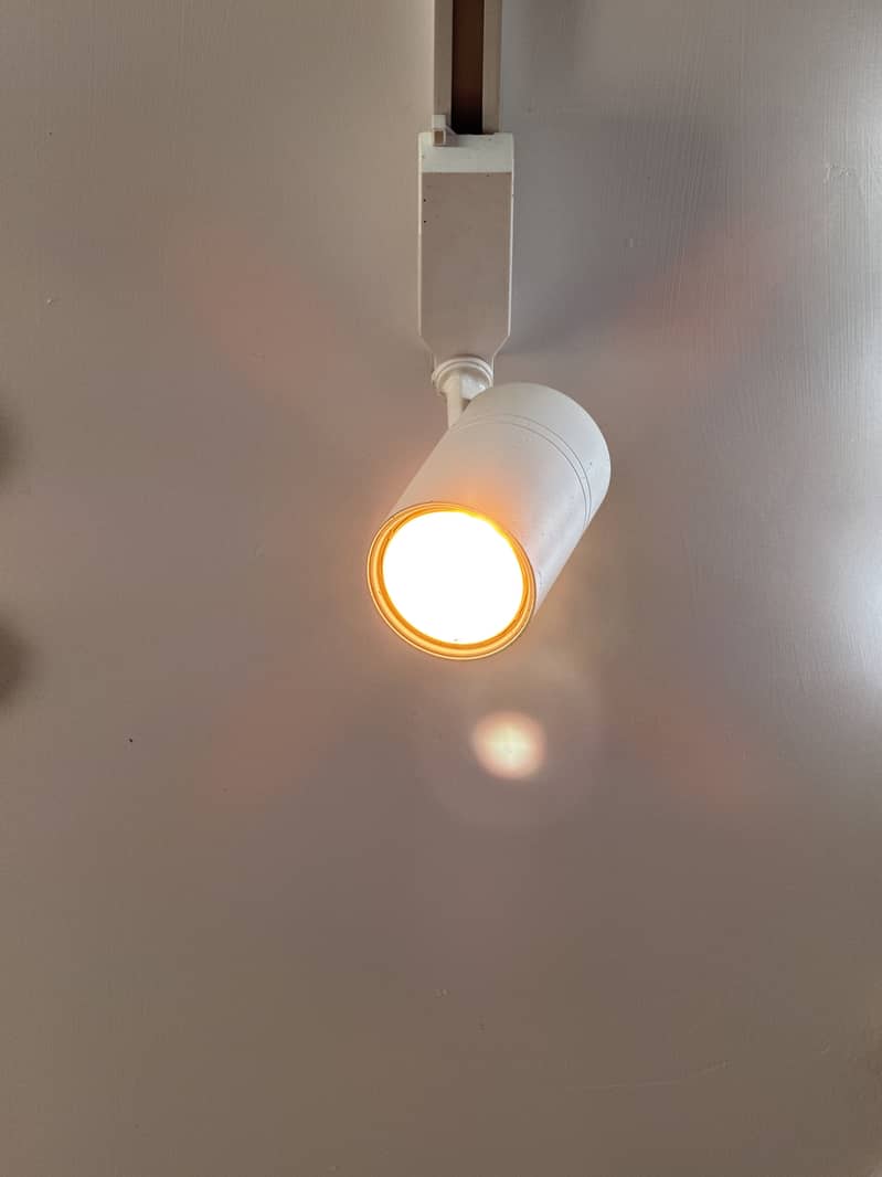 Focus Led Lights 3pc 0