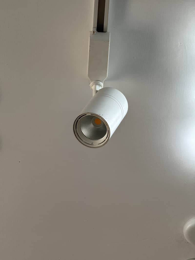 Focus Led Lights 3pc 1