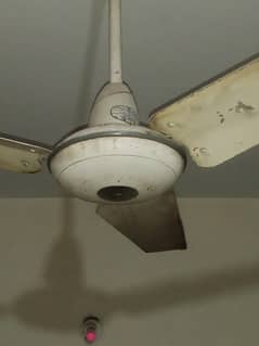 ceiling fan