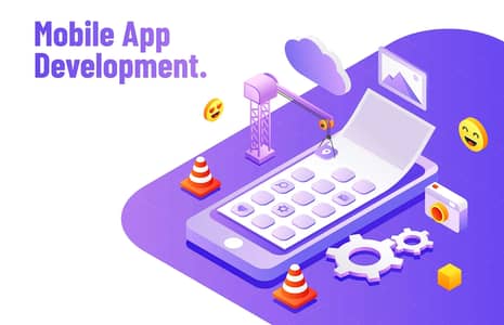 Full Stack Mobile Application Developer