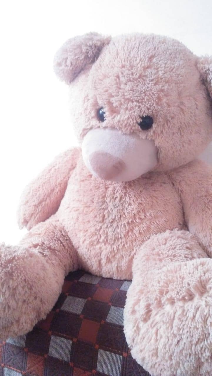 Teddy Bear 0
