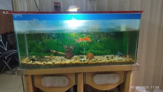 fish aquarium with table + pump +fishes