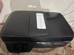 HP