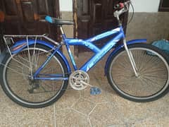 DOLPHIN CYCLE