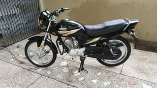 Yamaha yb125z 2020