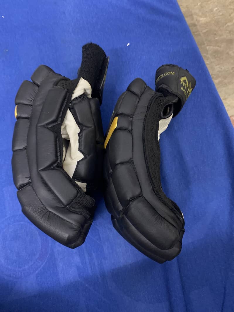 Cricket gloves 1