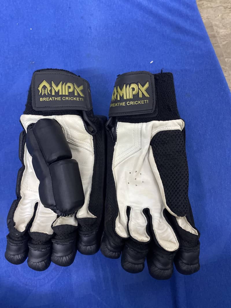 Cricket gloves 2