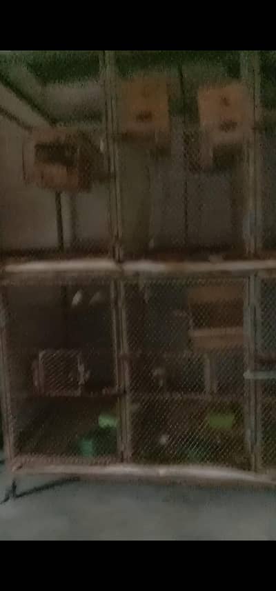 cages for Bird and hens