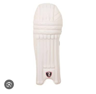 cricket kit all best  items 10/10 without glove and Kashmir willow bat
