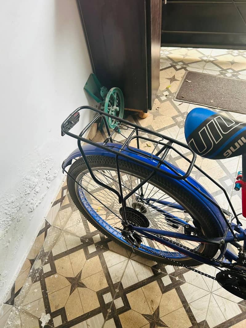 Mountain bicycle 2024 11