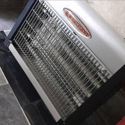 Westpoint insect killer