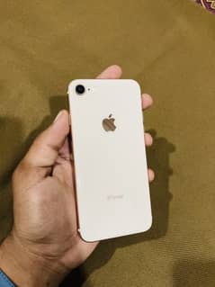 iPhone 8 pta approved