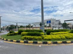 Plot