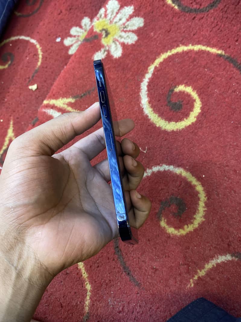 12 pro max 4