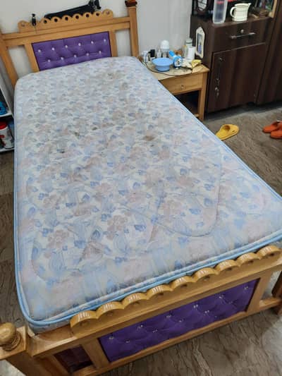 single spring mattress molty foam (with company tag)