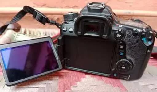 canon 70D with 18x135mm stm lens