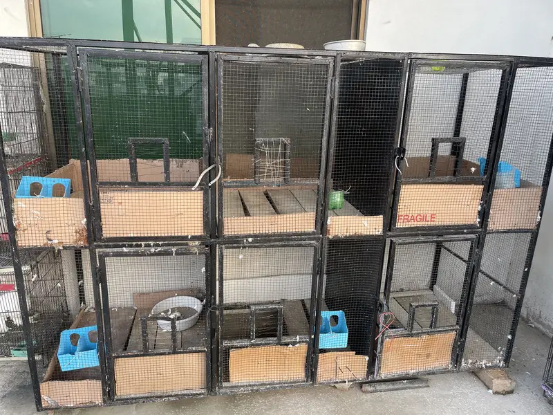 Iron cage
