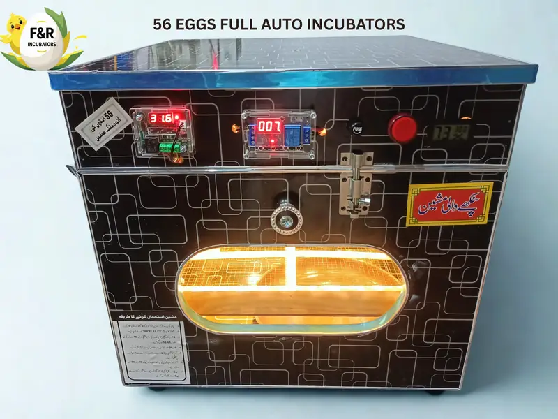 Automatic Egg Incubator | 80% Hatch Rate | Anday Se Chooza Machine — photo 3
