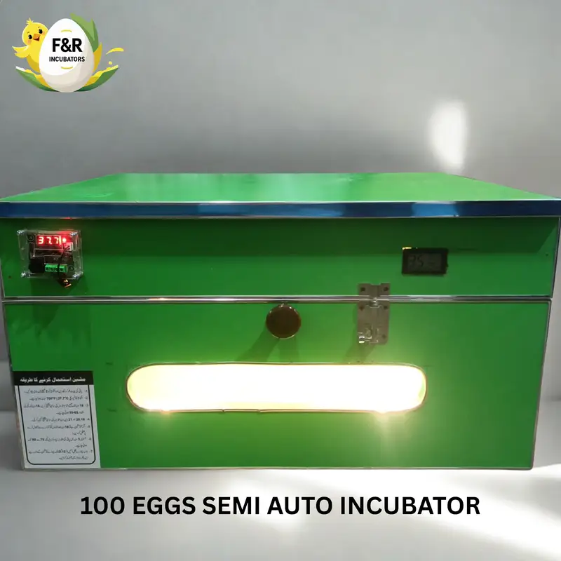 Automatic Egg Incubator | 80% Hatch Rate | Anday Se Chooza Machine — photo 4