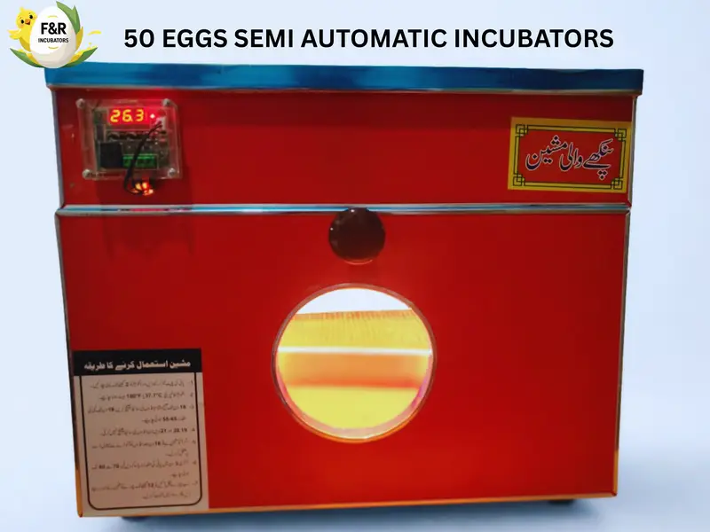 Automatic Egg Incubator | 80% Hatch Rate | Anday Se Chooza Machine — photo 5