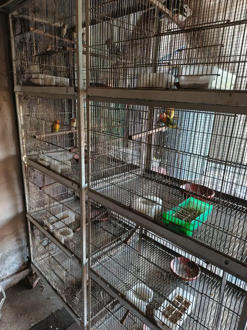 spot welding cages — photo 2