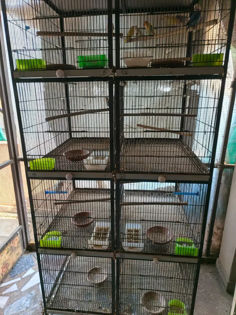 spot welding cages — photo 3