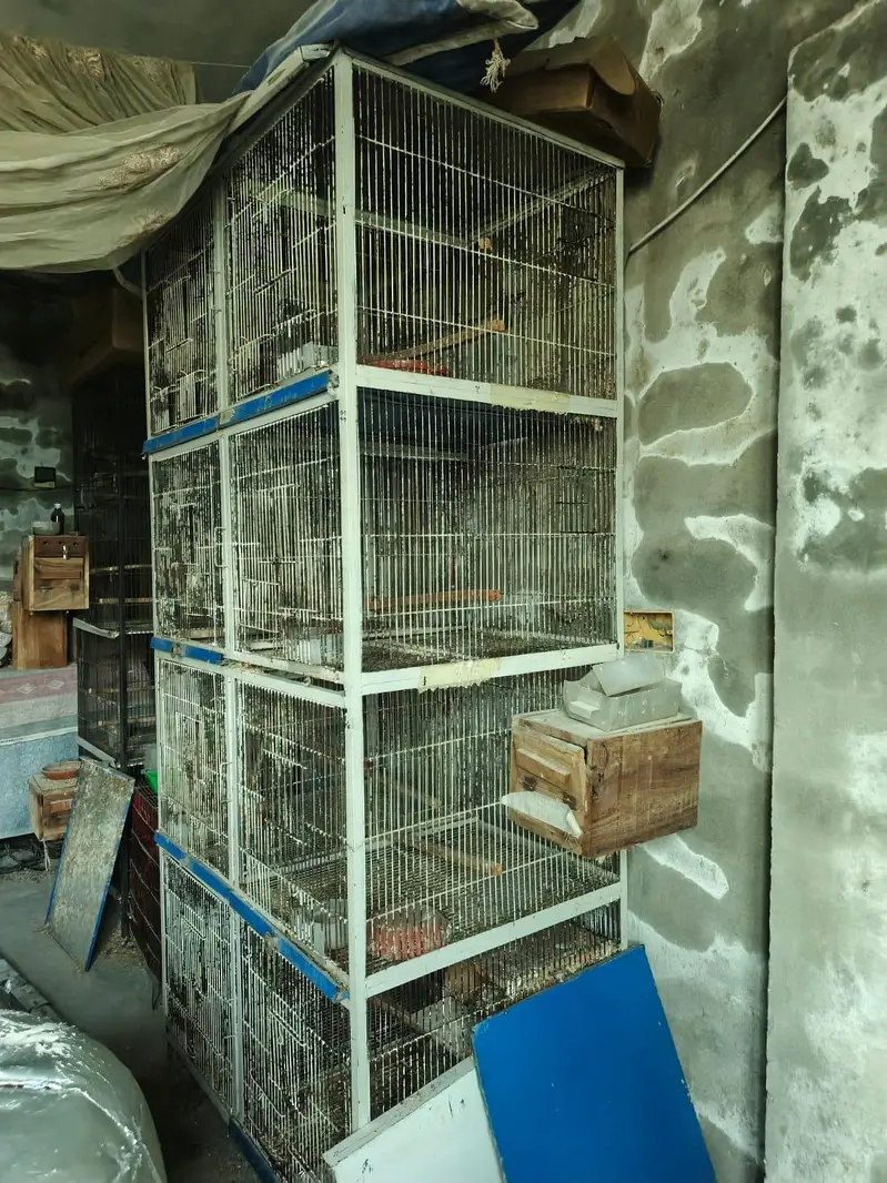 spot welding cages — photo 4
