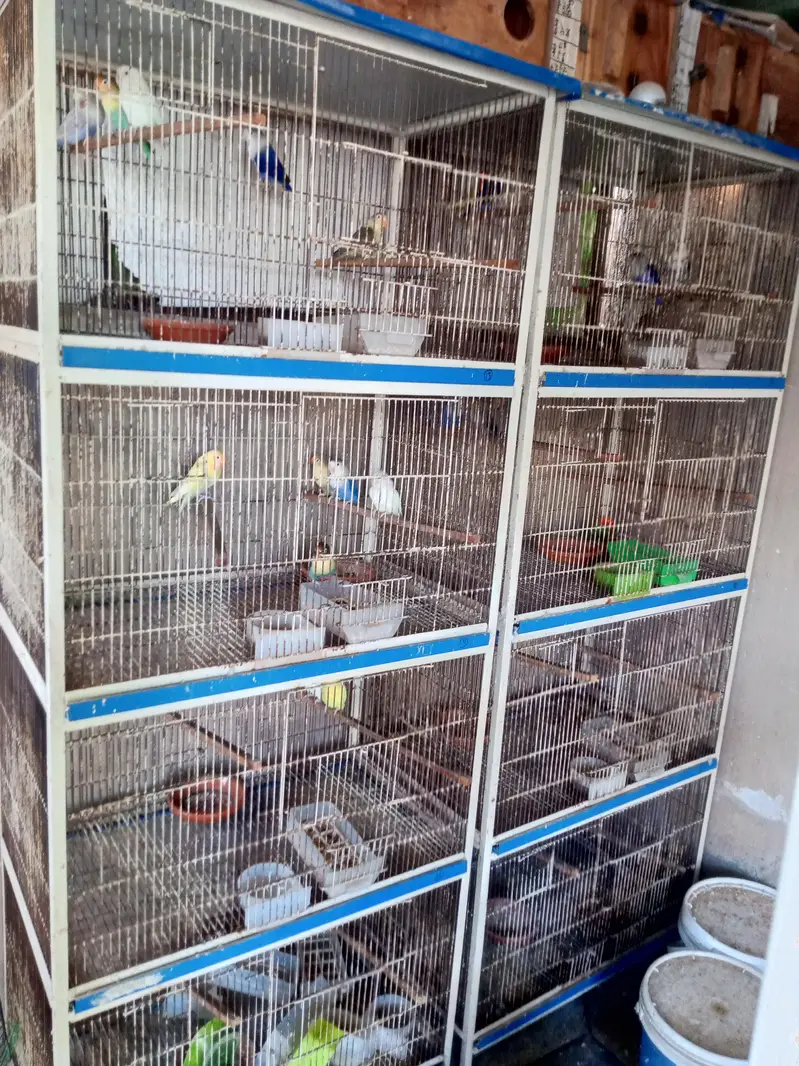 spot welding cages — photo 5